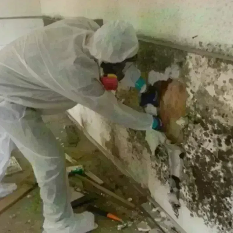 Best Mold Remediation and Removal Service in Hickman County, TN